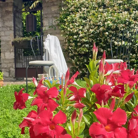 La Turr De Mezz- Lca