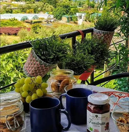 Apartment La Turr De Mezz- Lca *