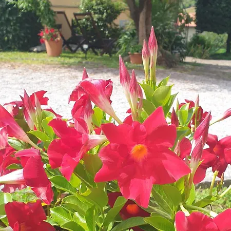 Apartamento La Turr De Mezz- Lca Bellagio